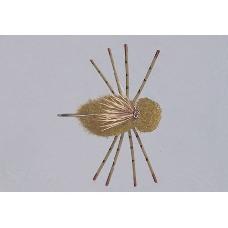 Olive Belize Crab