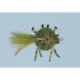 Olive Diving Crab