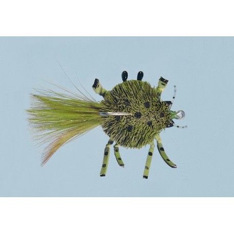 Olive Diving Crab
