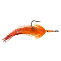 Orange Grizzly