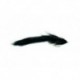 Ozs Euro Bass Goby