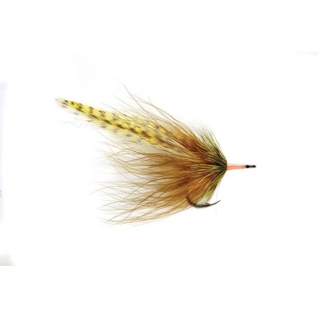 Poon Bug Olive