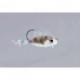 Rainys Goby Slider
