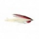 Red White