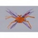 Salvinis Red Albertos Crab