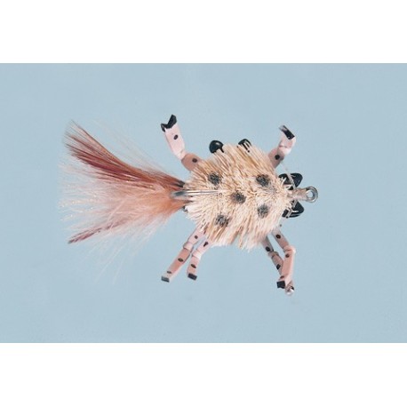 Sand Diving Crab