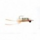 Sand Flea White & Gray