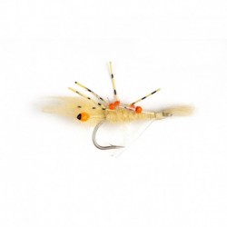Sand Prawn