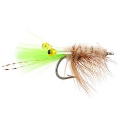 Sand Shrimp Tan