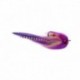 Sandbar Mullet Purple & Chartreuse