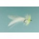 Sea Ducer White Chart