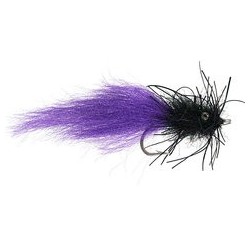 Sharon Swishers Big Daddy Tarpon Purple