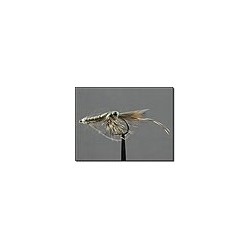 Shrimp Salt Grey