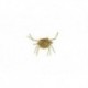 Simons Suspend Crab Tan