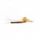 Skinny Shrimp Brown