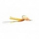 Skinny Shrimp Tan
