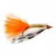 Snapping Shrimp Orange
