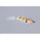 Sommerlattes Tan Migrating Shrimp