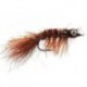Spawning Shrimp Brown
