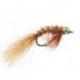 Spawning Shrimp Tan