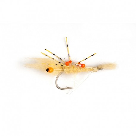 Spawning Shrimp