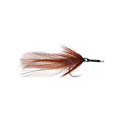 Splayed Roach