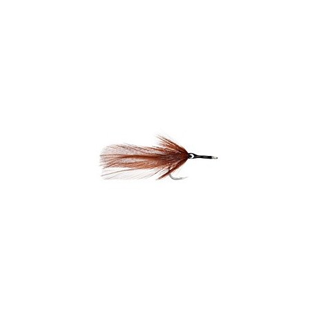 Splayed Roach