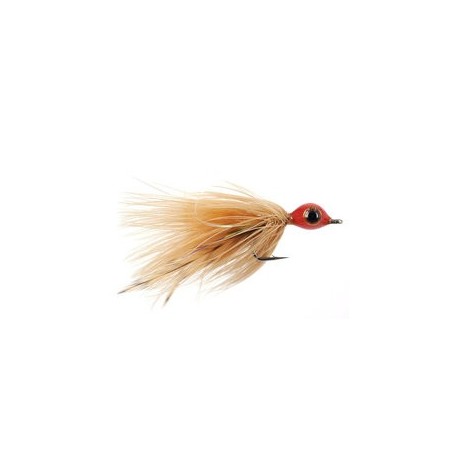 Splayed Shrimp Rust