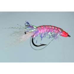 Steves Soule Shrimp Pearl