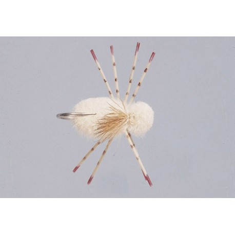 Tan Belize Crab