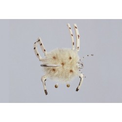 Tan Epp Crab
