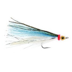 Toms Anchovy