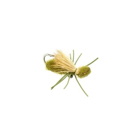 Turneffe Crab Olive