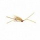 Xmas Island Special Dark Shrimp