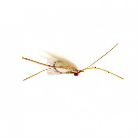 Xmas Island Special Dark Shrimp