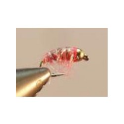 Bh Pink Shrimp