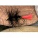 Black Worm Fly