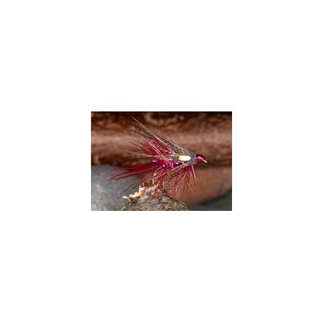 Claret Straggle Dabbler