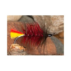 Dapping Chief