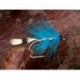 Delphi Blue