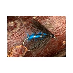 Donegal Blue