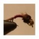 Bh Present Tail