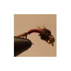 Bh Present Tail
