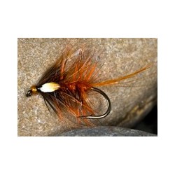 Hot Orange Cekate