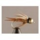 Bh Prince Nymp Hotwire