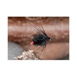 Machair Spider