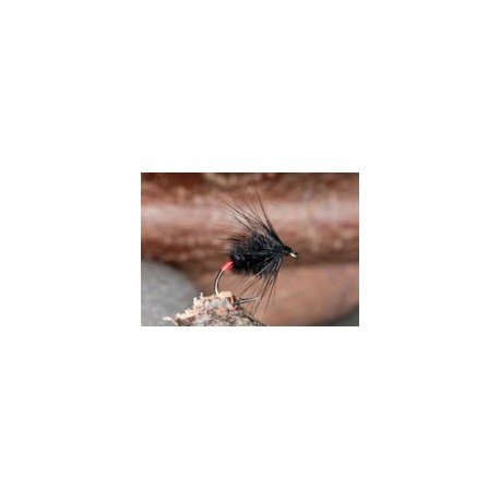 Machair Spider