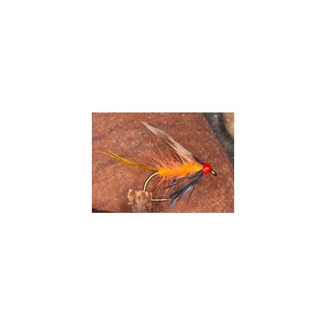 Orkney Peach Invicta