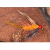 Orkney Peach Invicta