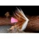 Pink Tail Loch Ordie